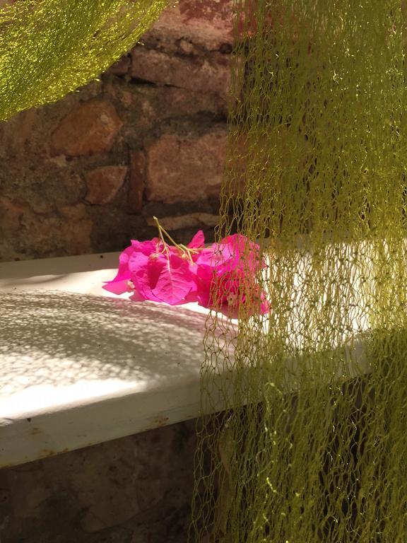 Cunda Adali Pansiyon Ayvalı المظهر الخارجي الصورة